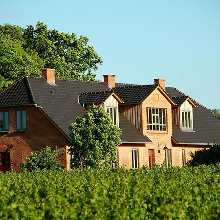 Appartamento Forsthof Niendorf Teterow Esterno foto